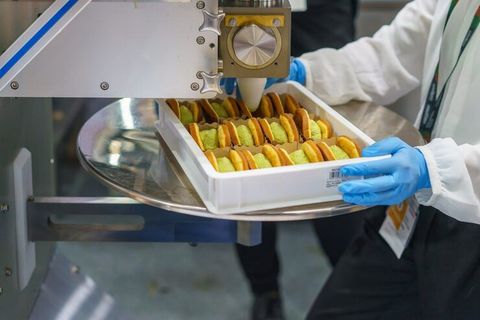 食品加工機械を探る：加工技術、生産ライン構成、包装システム、品質管理