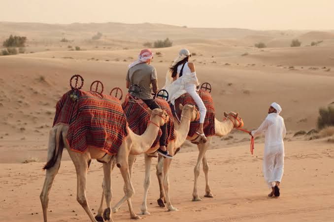 Desert Adventure: Complete Guide to Thrilling Desert Experiences