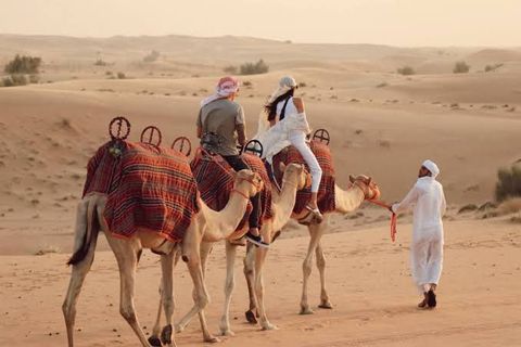 Desert Adventure: Complete Guide to Thrilling Desert Experiences