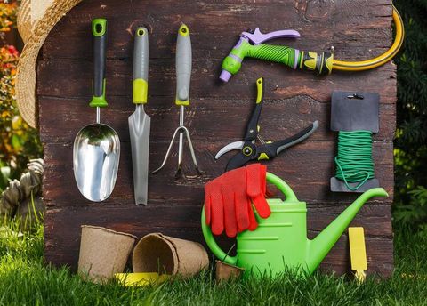 Gardening Tools Overview: Hand Tools, Power Equipment, Uses and Selection Factors