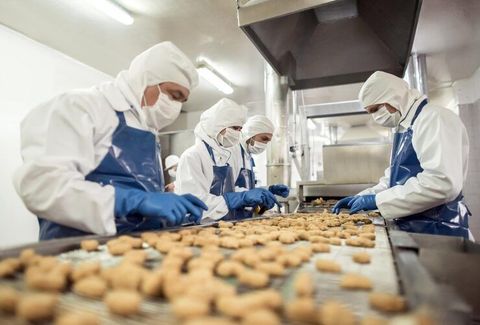 Food Manufacturing: Complete Guide to Modern Food Production Processes